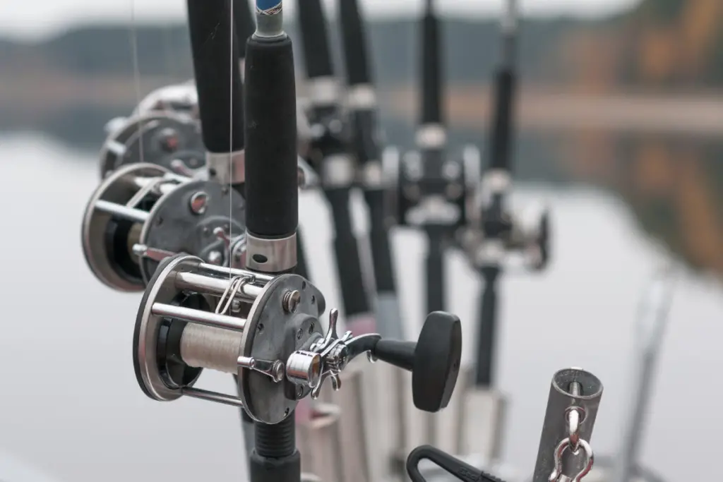 Spinning Reel Size Chart – Choose The Best Size Reel For Your Purpose