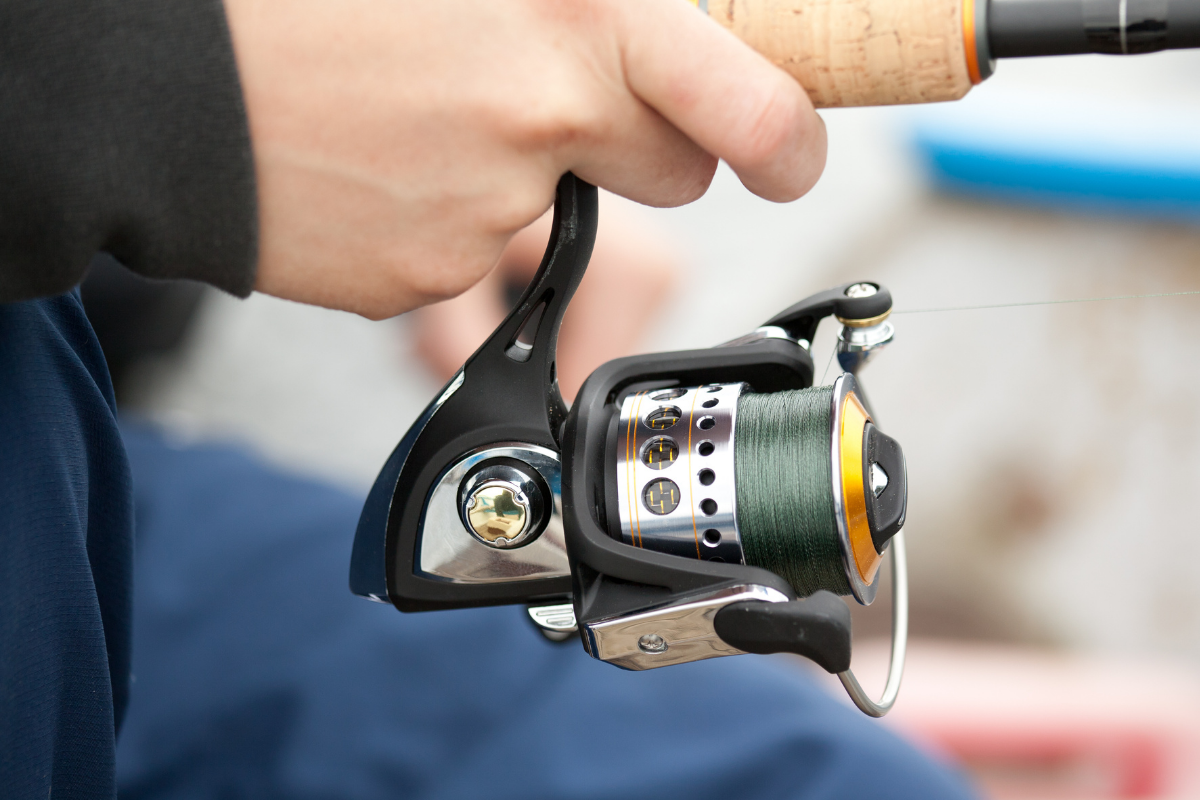 Spinning Reel Size Chart Choose The Best Size Reel For Your Purpose