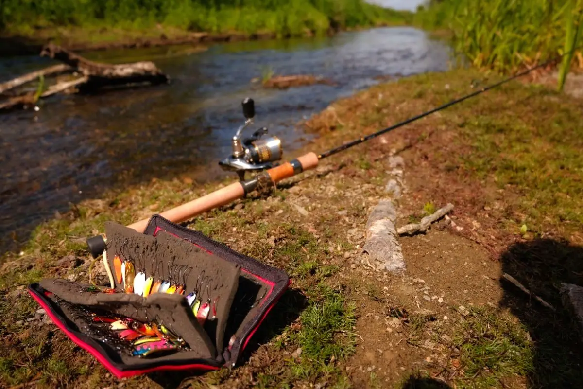 Trout Fishing Rod And Reel Setup (Detailed Guide)