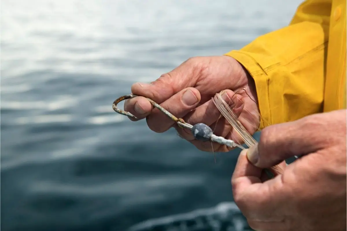 How To Tie A Fishing Hook To A Line? [Quickly And Easily]
