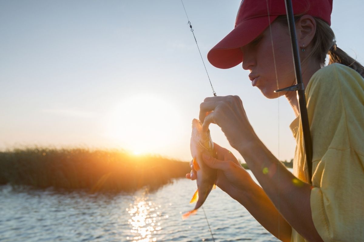 Pond Fishing Tips Catch Bass, Catfish, And More