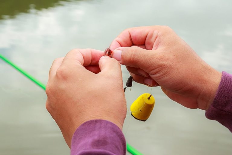 What Pound Fishing Line To Use? Irvine Lake