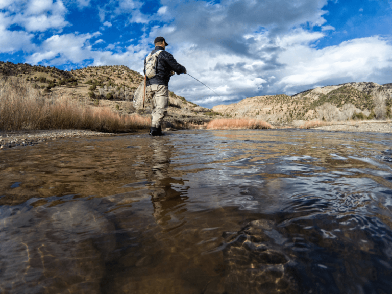 Where to Go Fishing Near Me Free Interactive Map Of All The Top