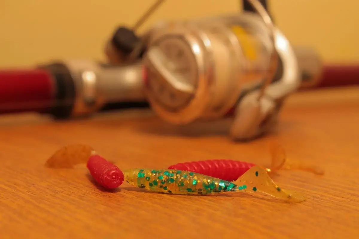 Fishing With Plastic Worms (What You Need To Know) (1)
