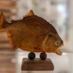 How Much Does Fish Taxidermy Cost? [Complete Guide]