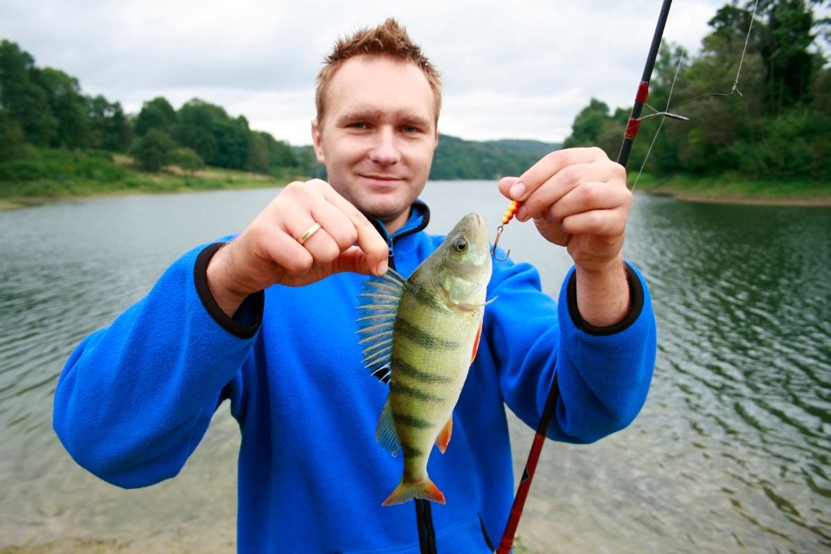 The Best 6 Perch Fishing Rig Setups (What You Need To Know) (1)