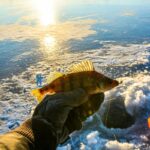 The Best 6 Perch Fishing Rig Setups (What You Need To Know)