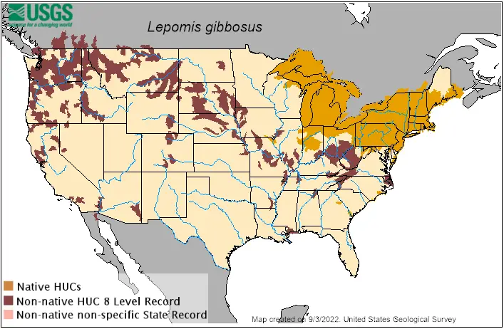 USGS map of Lepomis gibbosus populations in United States
