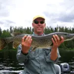 Can You Eat Northern Pike? [Are They Good?]