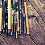 Types of Fishing Rods [A Guide For Beginners]