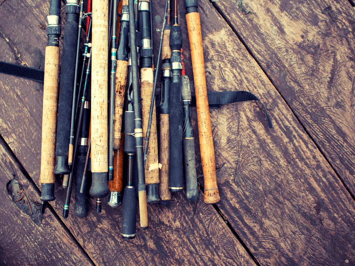 Types of Fishing Rods [A Guide For Beginners] Irvine Lake