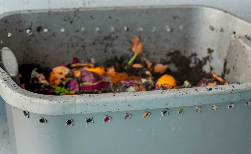 plastic tub with holes filled with vegetable scraps