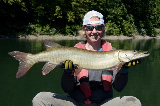 woman holding large muskie fish