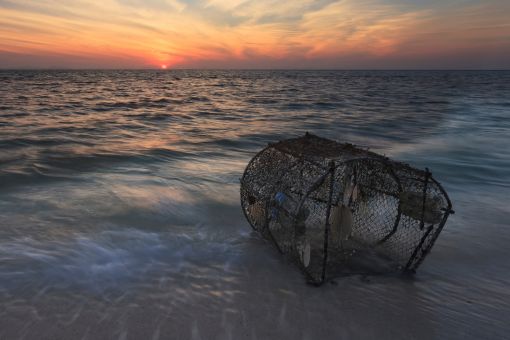 fish trap on a beach in low tide