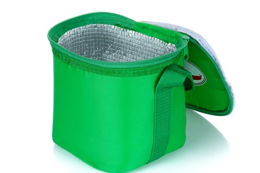 green colored soft cooler bag 