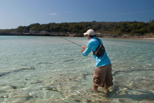saltwater fly fisherman casting from the shallow