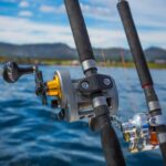 What Is The Difference Between Bottom Fishing And Sport Fishing?