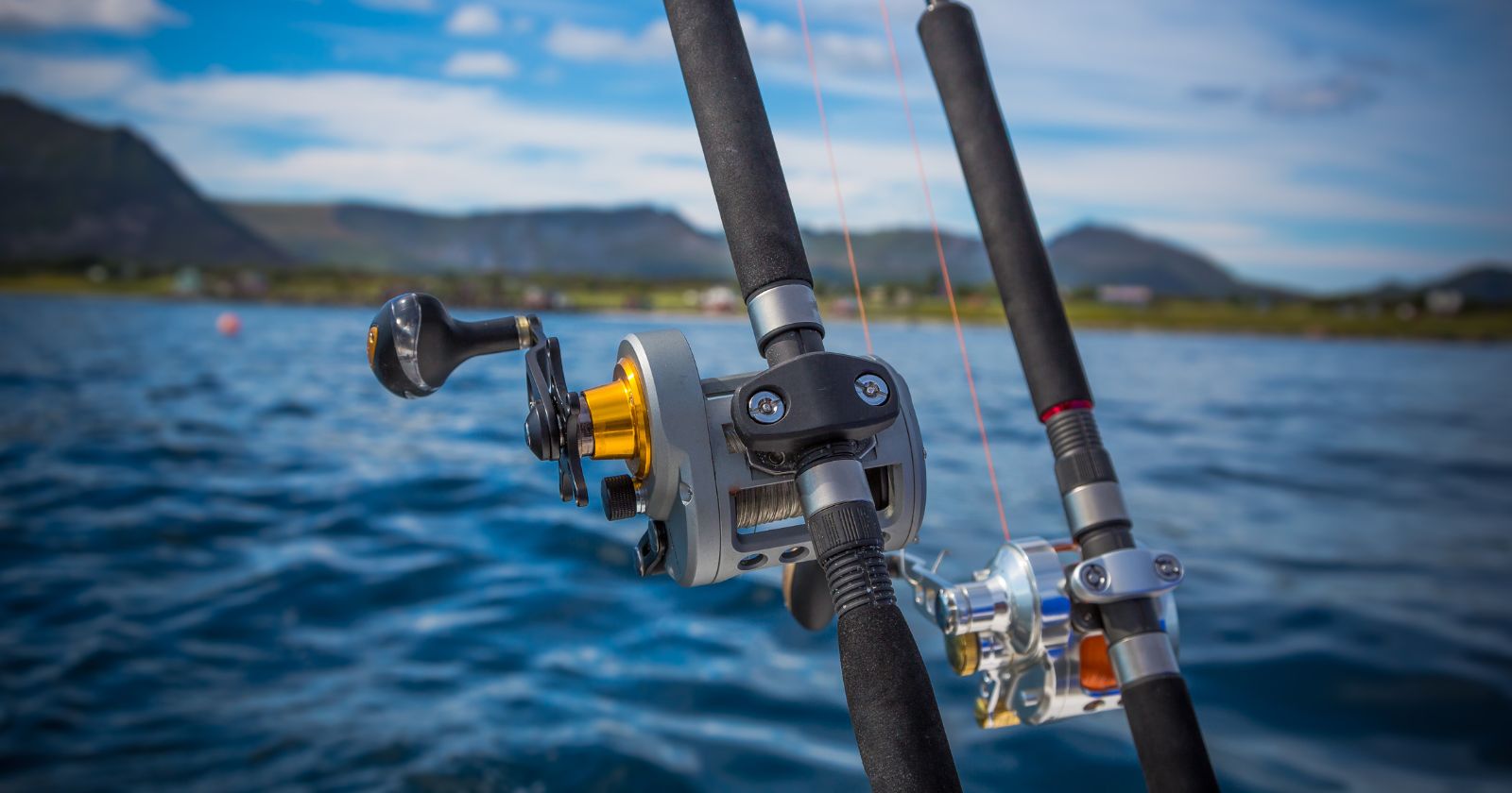 What Is The Difference Between Bottom Fishing And Sport Fishing ...