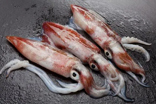 three whole dead squid on a dark cutting bench