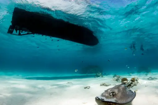 underwater view of boat in ocean with stringray in foreground