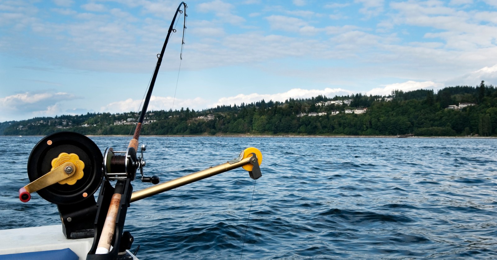 What Fish Do You Catch With Downriggers? Irvine Lake