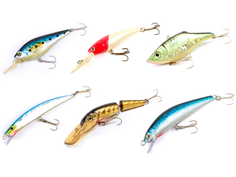 different lure types on a white background