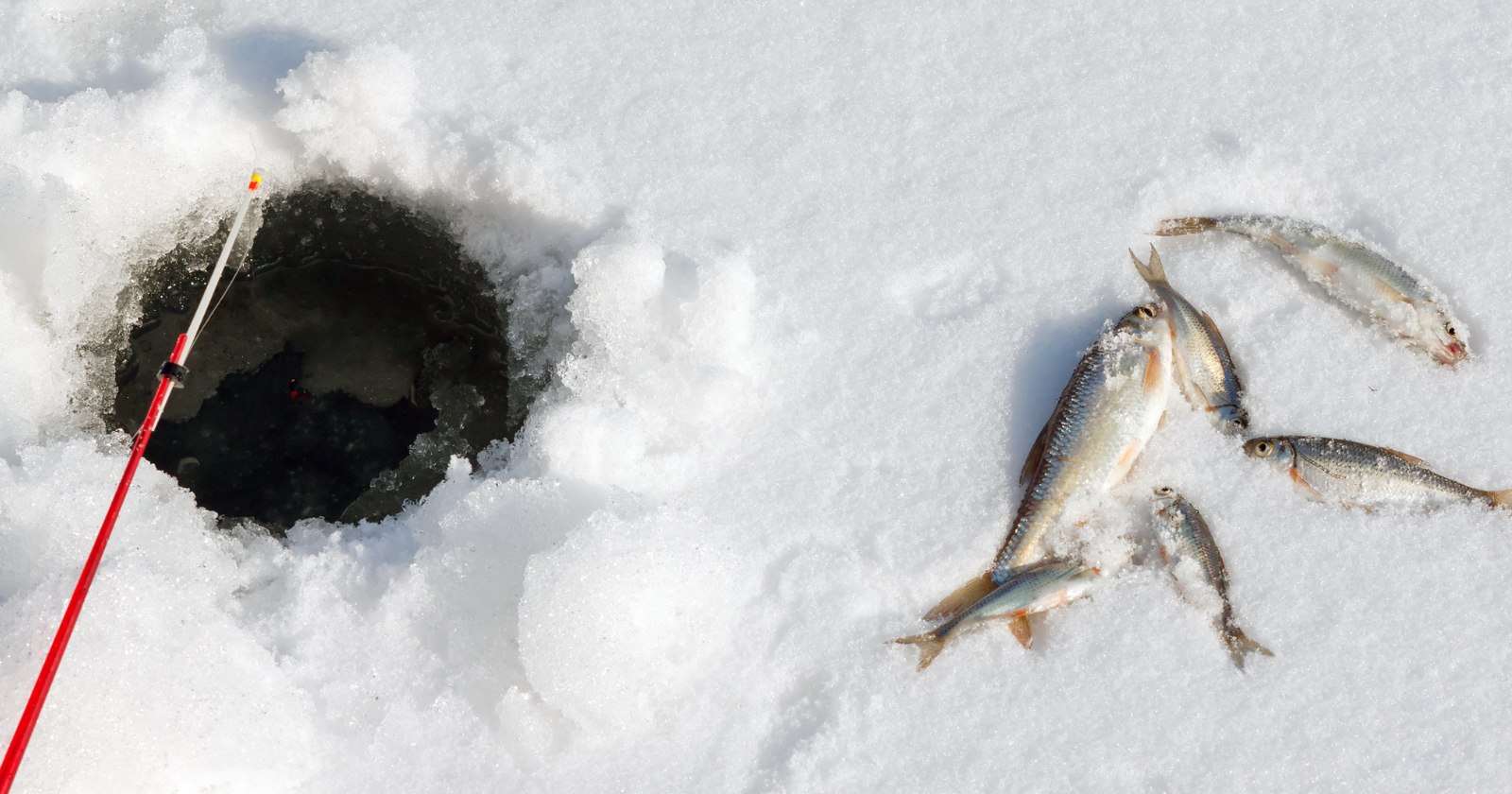 What Fish Line Is Best For Ice Fishing? Irvine Lake