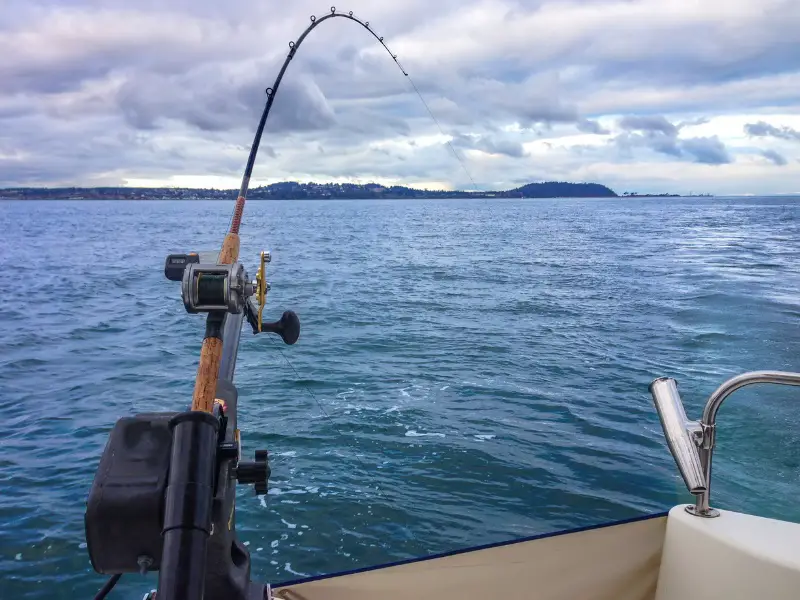 fishing for salmon with trolling rod in downrigger
