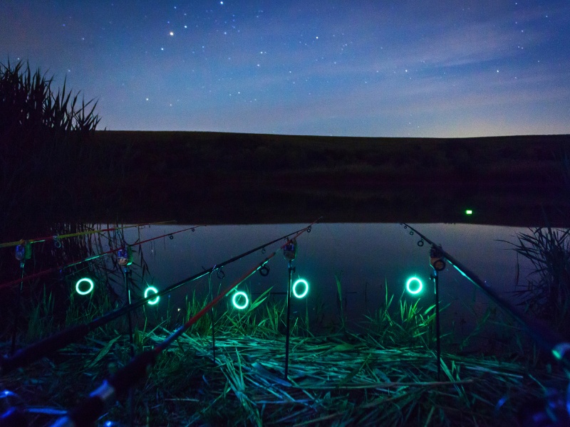 multiple fishing rods on a lake shore at night time