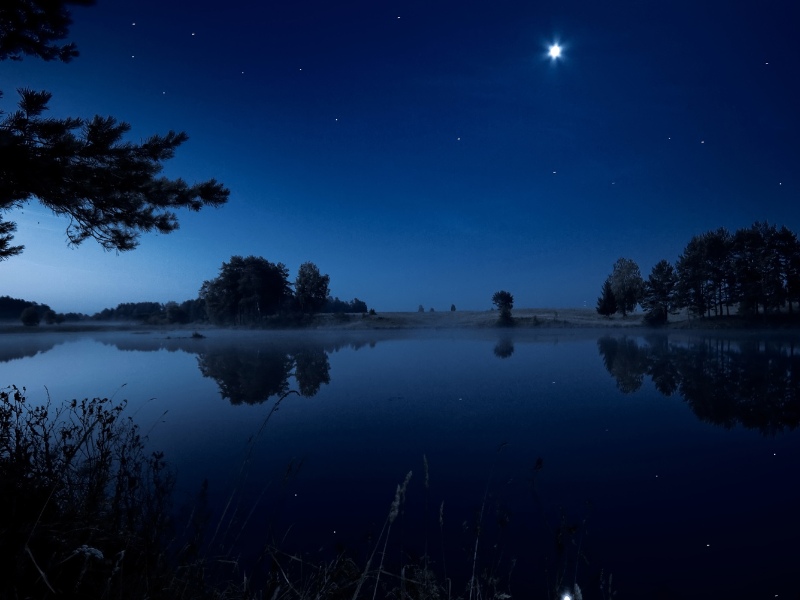  small lake illuminated by moonlight