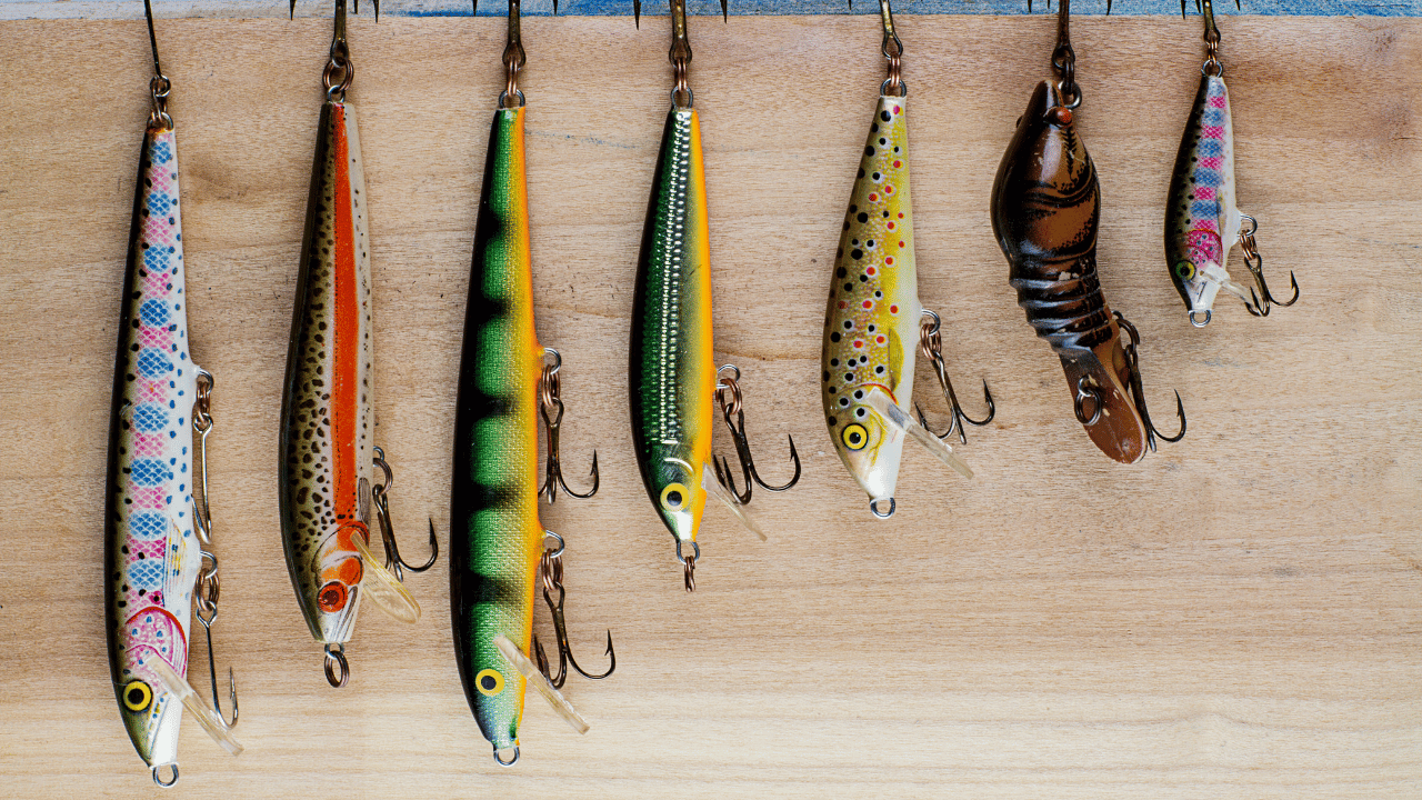 various colored lures hanging on wooden board